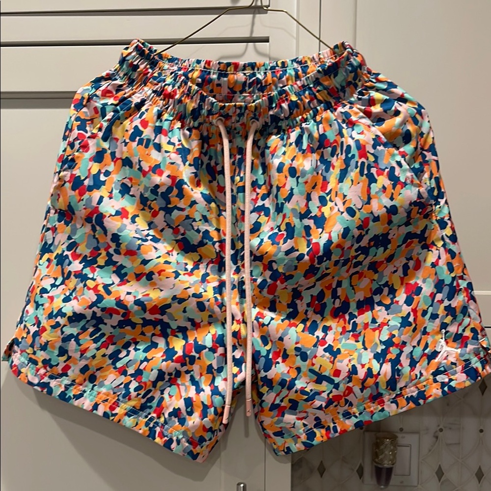 Nike Air Jordan bathing suit Vibrant Multicolor Men's Swim Trunks